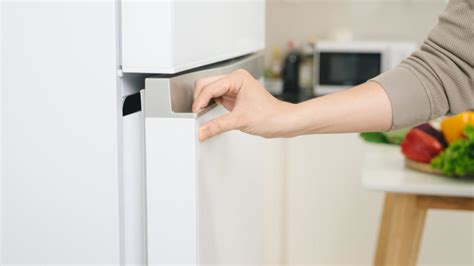 How to Replace a Refrigerator Door Gasket (in 10 Steps) | Twin Cities ...