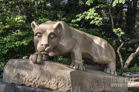 Nittany Lion Photograph by John Greim