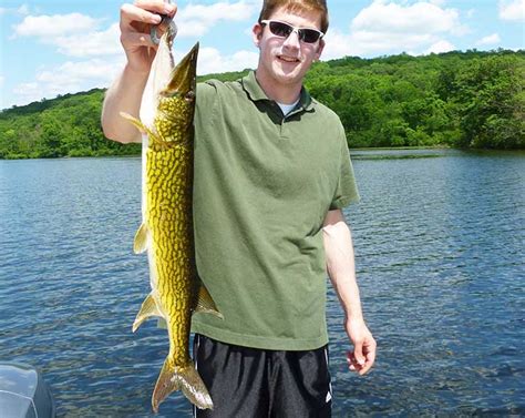 17 Best Pickerel Fishing Lures | By Captain Cody