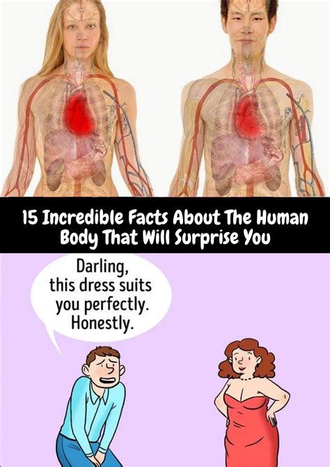 15 Incredible Facts About The Human Body That Will Surprise You | The incredibles, Human body, Human