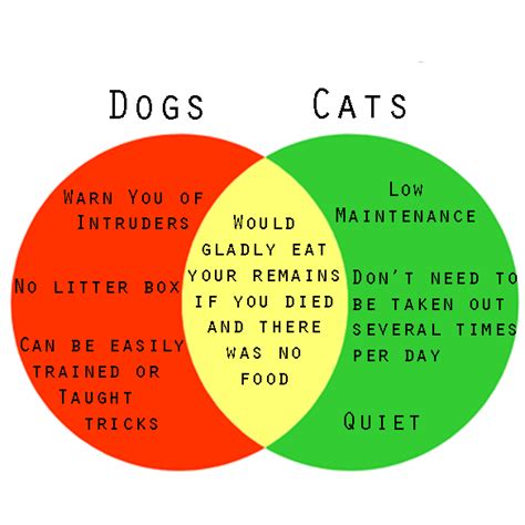 A Venn Diagram To Help You Decide If You Should Get A Dog Or A Cat | Thought Catalog