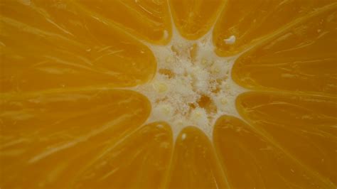 Orange fruit slice in slow motion 1789911 Stock Video at Vecteezy