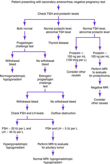 Amenorrhea: Secondary | Obgyn Key