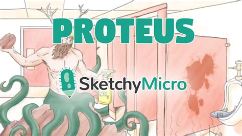 Proteus [HD] - SketchyMedical SketchyMicro USMLE Step 1 Microbiology ...