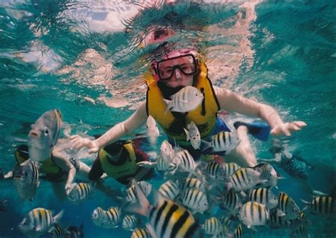 The 5 Best Snorkeling Tours In Cancun | Outside Pursuits