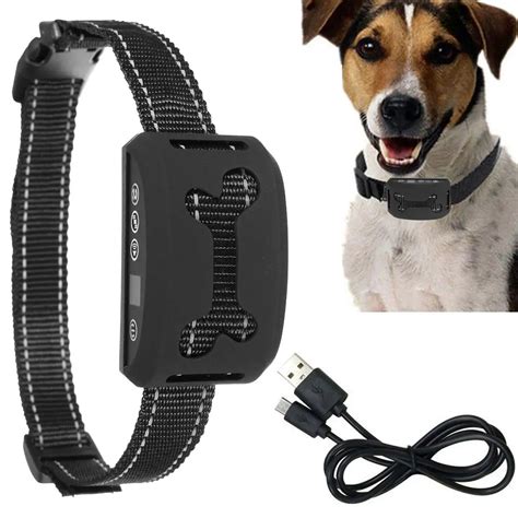 Dog Collars and Leashes for Dog Training | DogListen.com