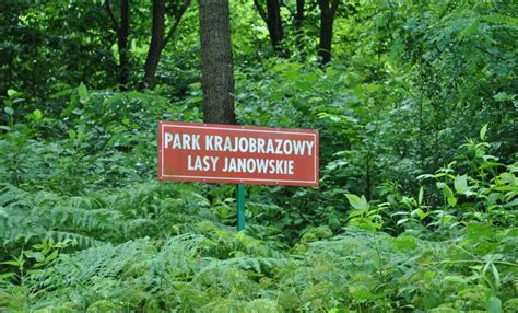 Park Krajobrazowy Lasy Janowskie ma już 30 lat!!!! - Zespół Lubelskich Parków Krajobrazowych