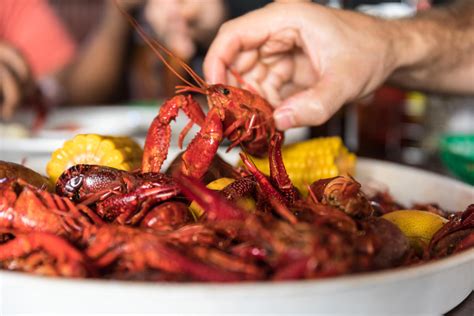 Guide to Crawfish – New Orleans, LA