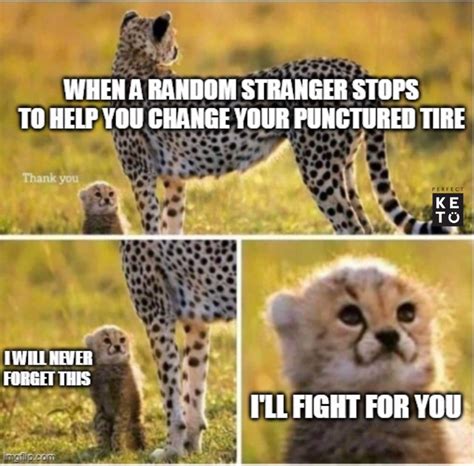 Man, this hits deeep. | /r/wholesomememes | Cheetah and Cub | Know Your ...