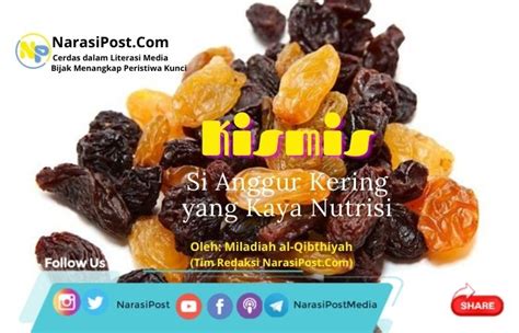 Kismis: Si Anggur Kering yang Kaya Nutrisi - NarasiPost.Com