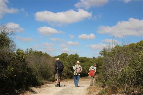 Cape Flats Nature – Discover Cape Flats