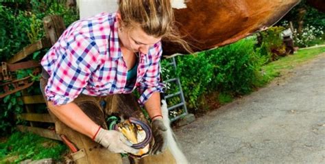 Farrier – Complete Apprenticeship Guide