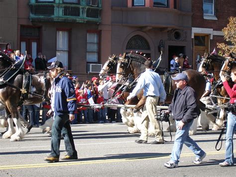 Phillies World Series Parade | Peter & Laila | Flickr