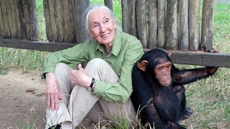 How Reading Inspired Jane Goodall’s Life Path