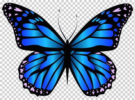 Descarga gratis | Mariposa púrpura azul, mariposa azul imágenes prediseñadas, ilustración de ...