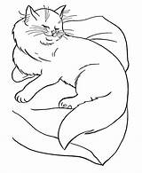 Free Printable Cat Coloring Pages For Kids sketch template