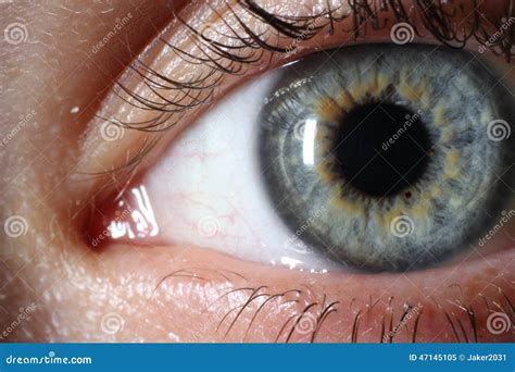 Hazy Eyes stock image. Image of eyelashes, depth, clear - 47145105