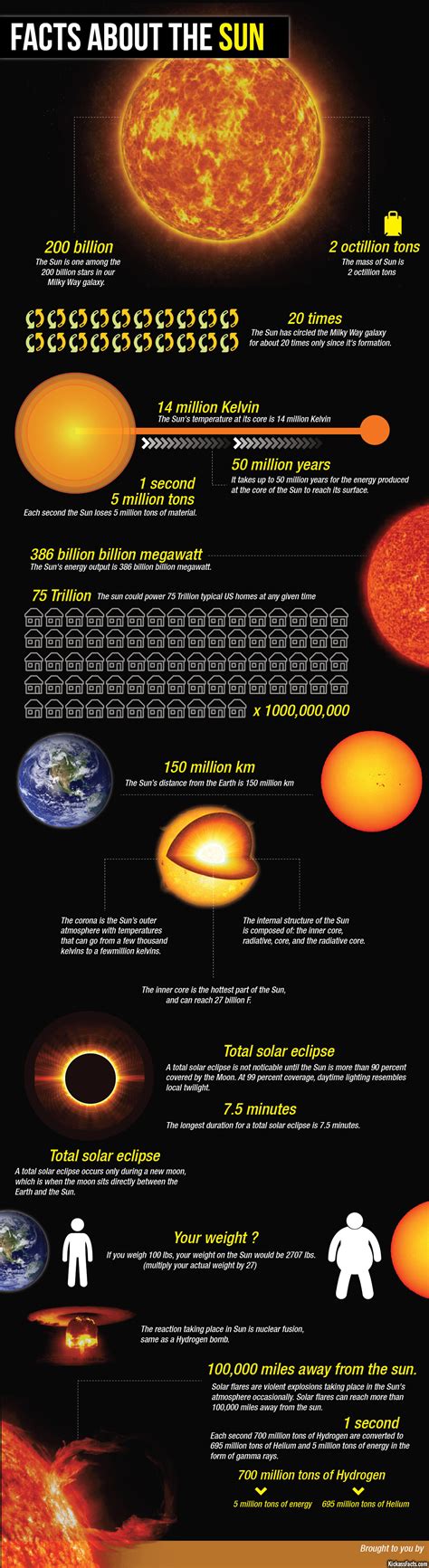 Interesting Facts About The Sun Sun Facts For Kids 7 Unknown Facts - Riset