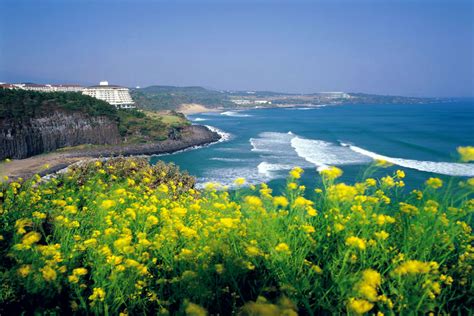 Beautiful Jeju island in South Korea - Korean Hawaii - Most beautiful ...