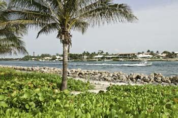 Jupiter Beach Park - Jupiter Florida Fans