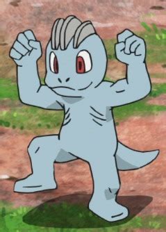 Machop | Anime-Planet