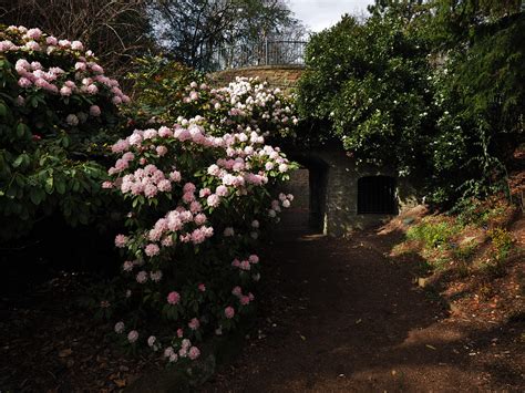 bear pit entrance in bloom | Sheffield Botanical Gardens | Flickr