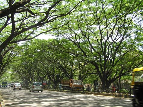 Bengaluru.com | Happy 75th Birthday, Jayanagar!