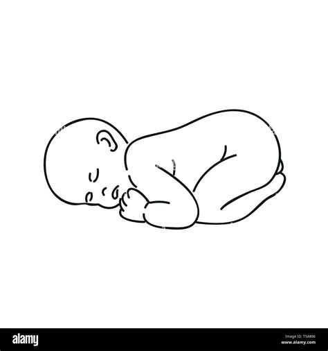 sleeping baby outline hand drawing isolated on white background vector illustration EPS10 Stock ...