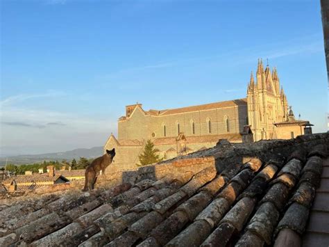 Orvieto: One of Italy’s Most Charming Hilltop Towns