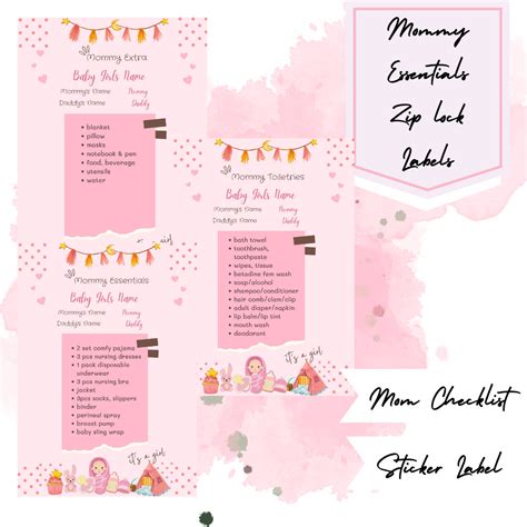 Baby Girl Pink Editable Hospital Documents Sticker Labels - Etsy