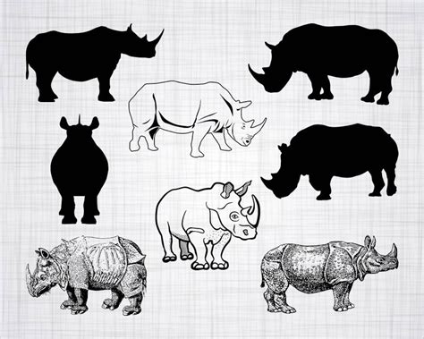 Rhino SVG Bundle Rhino SVG Rhino Clipart Cut Files for | Etsy