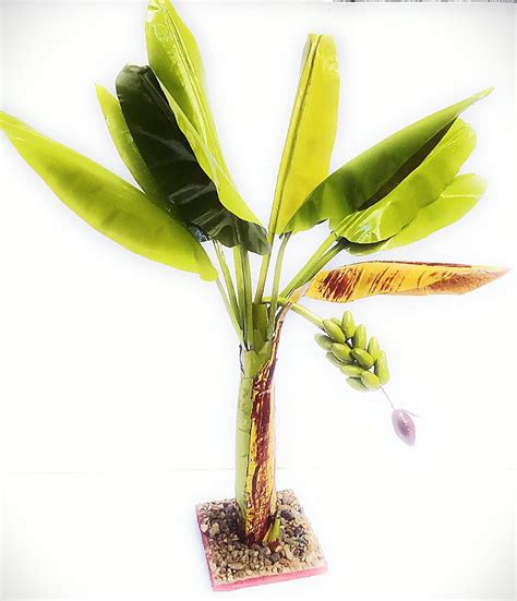 Decorative Banana Tree Showpiece - Necessity eStore - @Best Deal