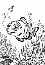 Finding Nemo Coloring Pages  Page Dory Fish Guppies sketch template