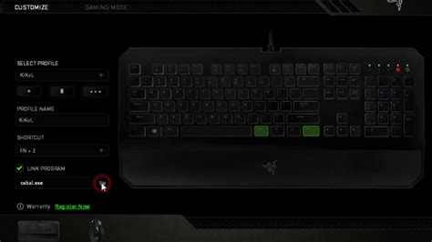 Razer Macro Guide