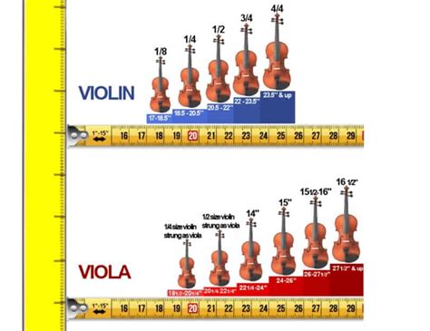 Viola vs Violin: In-Detail Comparison for 2021