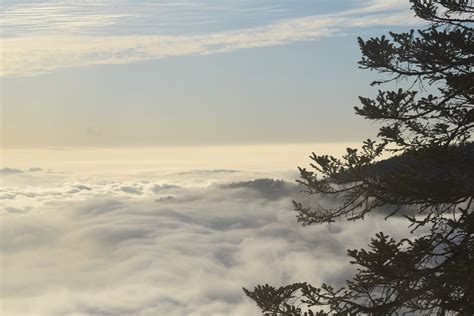 Kalinchowk Nepal Trekking - Free photo on Pixabay - Pixabay