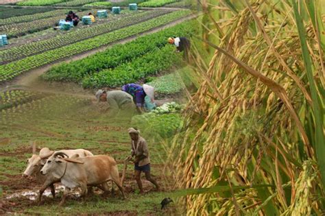 17 good opportunities for entrepreneurs in the Indian Agriculture Industry - IMARC Group | PRLog