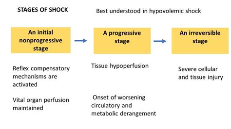 Pathology of Septic shock | Pathology Made Simple