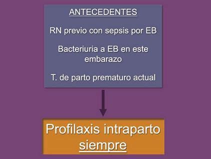 ¿Cómo disminuir el riesgo de enfermedad neonatal por Streptococcus grupo B? - Medwave