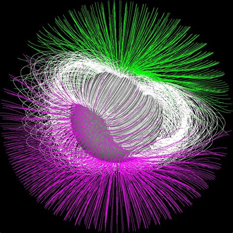 SVS: The Sun's Magnetic Field