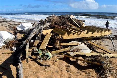 Beach Debris Free Stock Photo - Public Domain Pictures