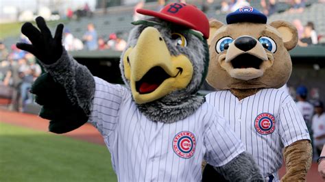 After 28 years, Swoop to retire as South Bend Cubs mascot