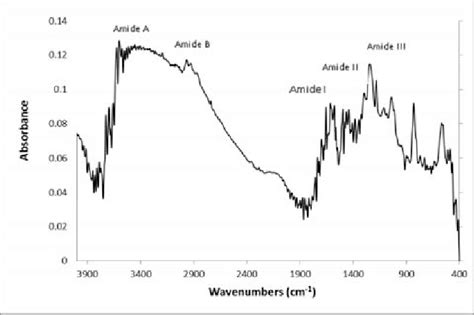 FTIR spectra of Porcine gelatin | Download Scientific Diagram