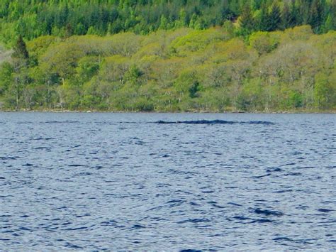 Something fishy on a cruise on Loch Ness, Scotland - Holidaysonthewater.com