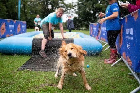 Battersea's Muddy Dog Challenge coming to Newcastle for first time - here's how to register ...