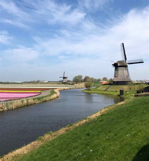 Dutch windmill - Tulip Tours Holland