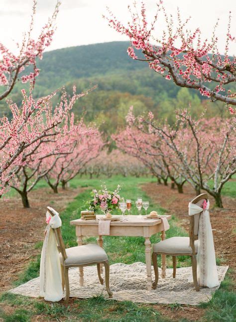 20 Best Cherry blossom wedding images | Cherry blossom wedding, Wedding, Cherry blossom