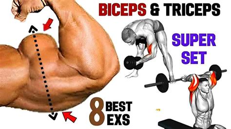 Bicep And Tricep Muscles