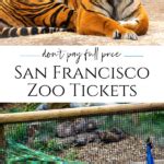 San Francisco Zoo Ticket Coupons, Promo Codes & Discounts for 2021