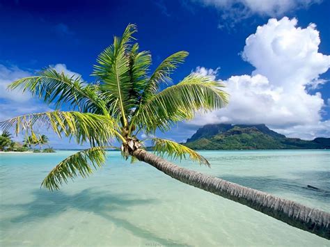 Matira Beach, Bora Bora, Tahiti | Style My Beach